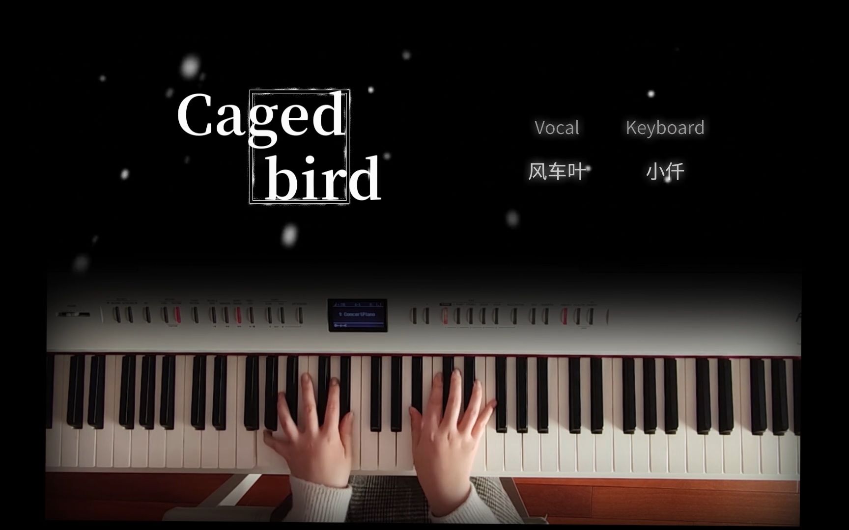 爷青回天使怪盗cagedbird男声钢琴治愈系翻唱empy音乐第一弹