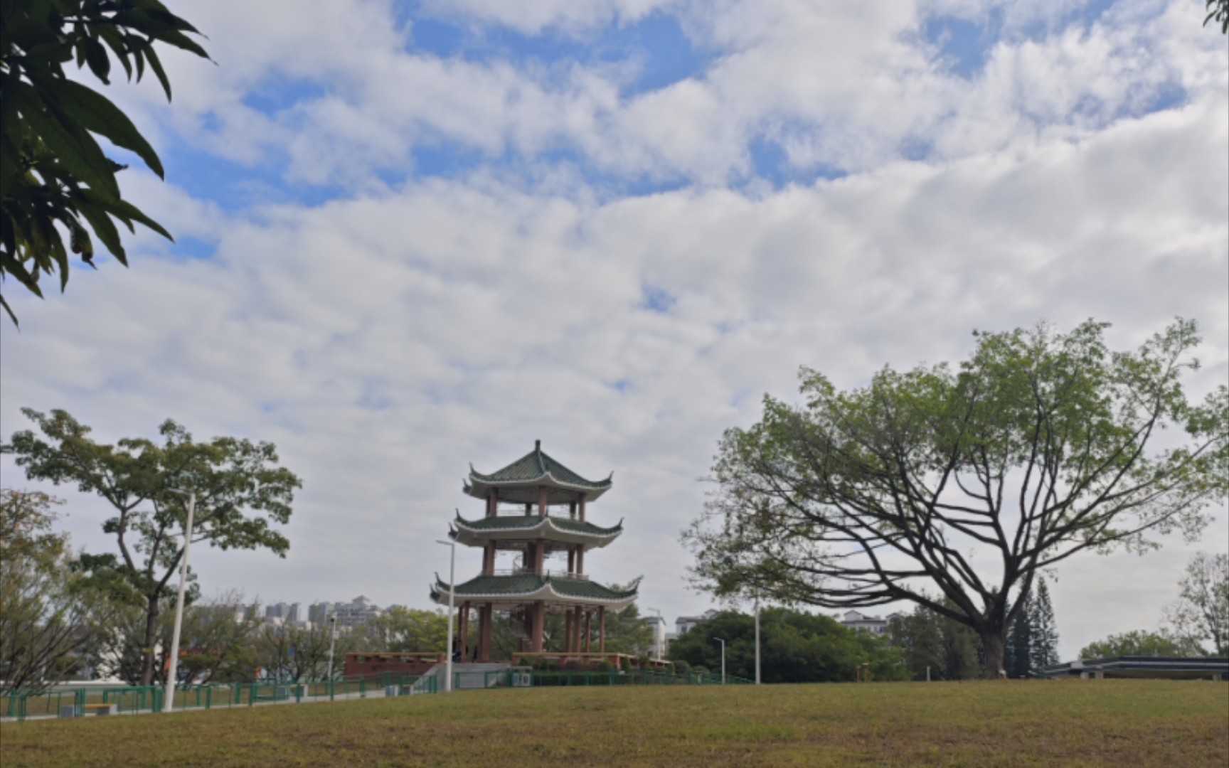 雁湖公园俯瞰雁田