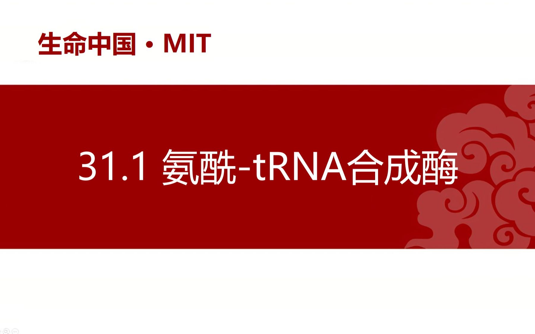 【分子生物学】31.1 氨酰tRNA合成酶哔哩哔哩bilibili