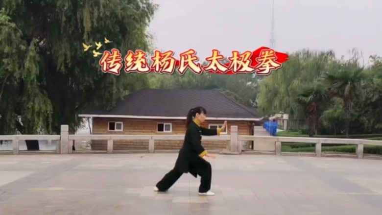 养生太极掌第三套口令版(养生太极掌第三套背向分解动作)