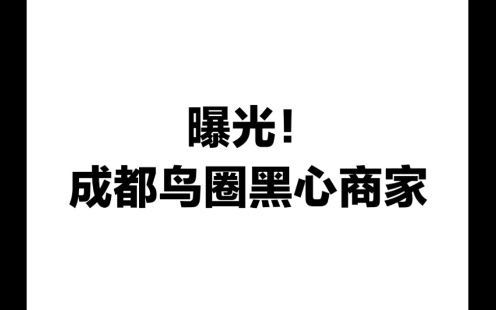 曝光!成都鸟圈黑心商家哔哩哔哩bilibili