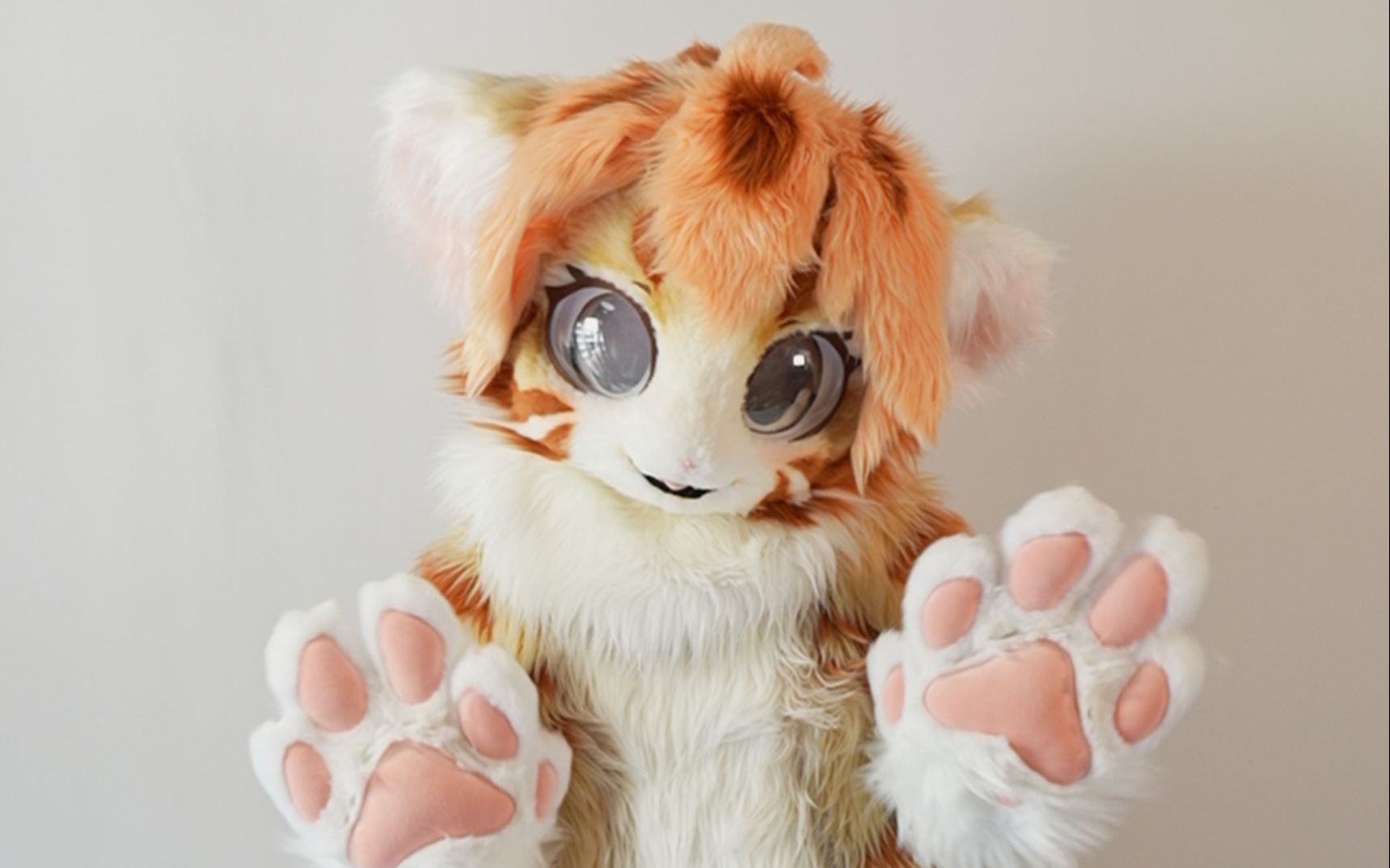 【兽装展示】幻梦的猫猫