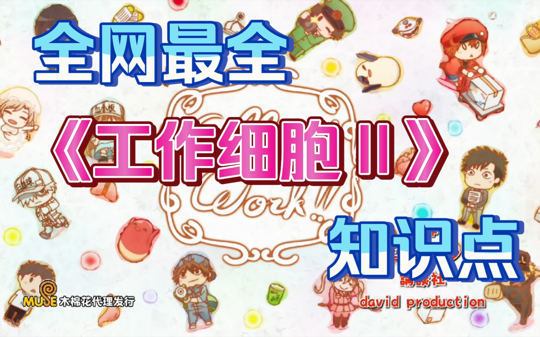 全网最全《工作细胞》第二季所有小知识，快进来康康吧