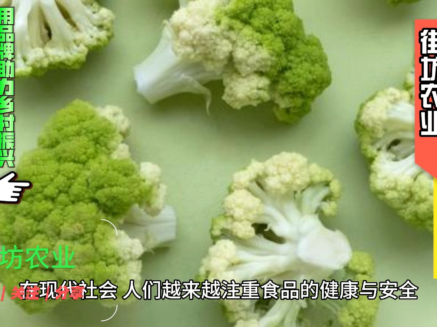 莆田市綠益農業的花椰菜是綠色食品