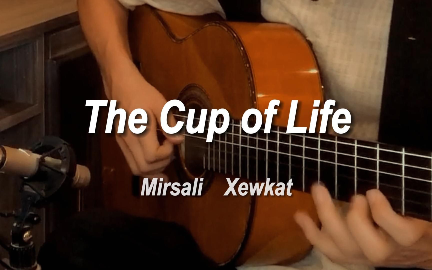 The Cup of Life(生命之杯)98世界杯主题曲哔哩哔哩bilibili