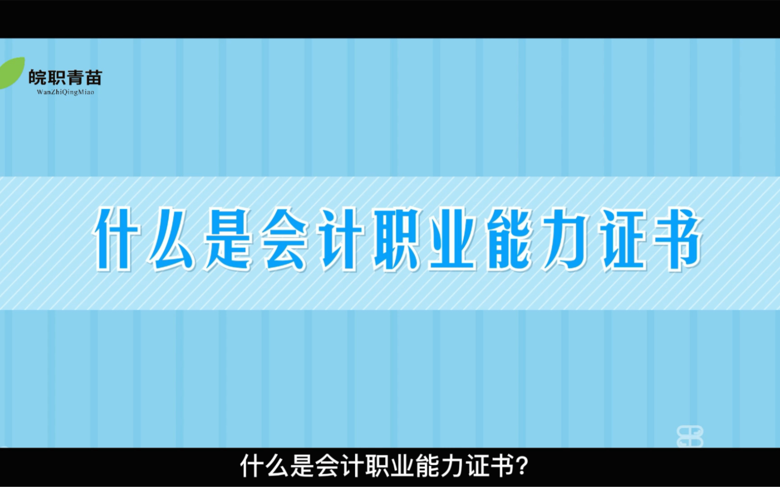 什么是会计职业能力证书?哔哩哔哩bilibili