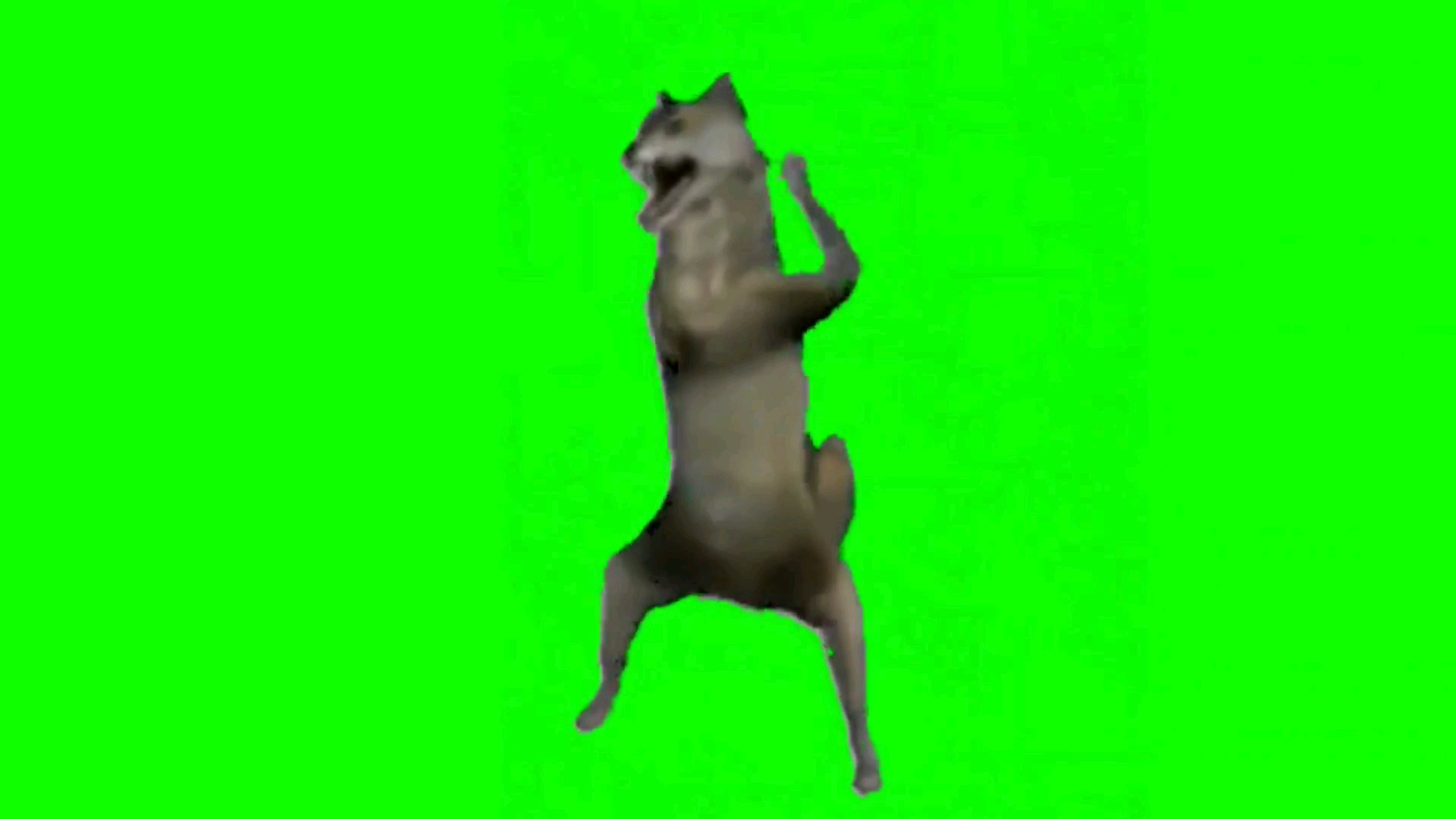 狼王跳舞重复