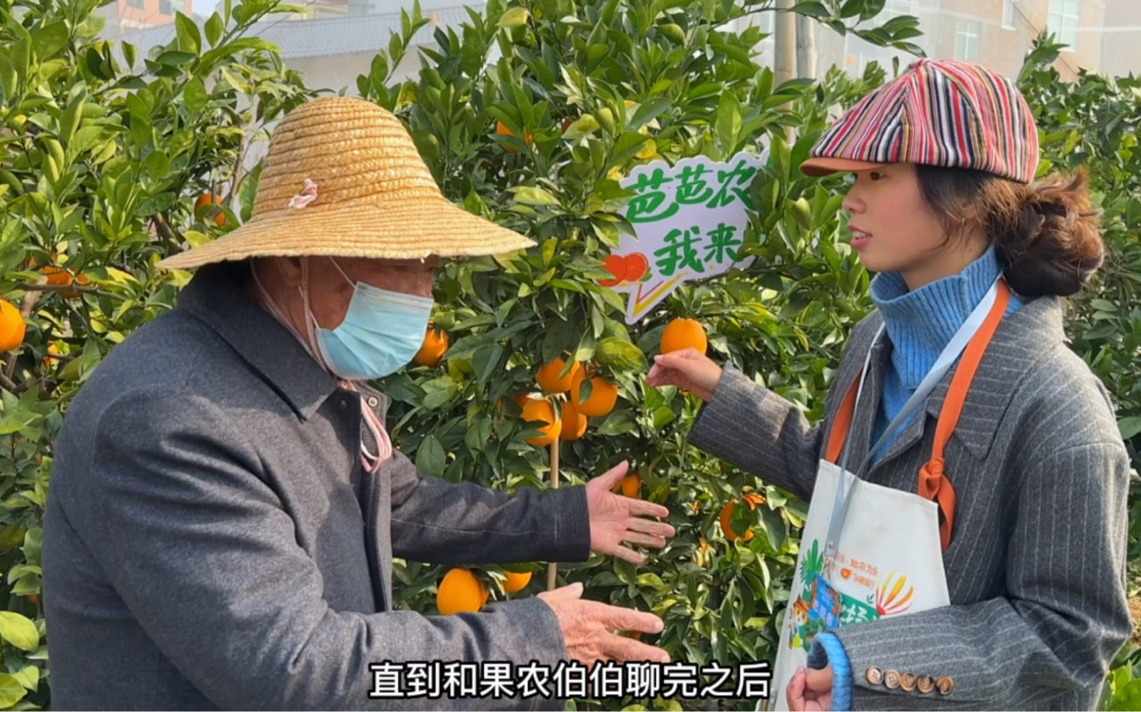 因为太过想家,我去了江西寻乌的芭芭农场摘脐橙!哔哩哔哩bilibili