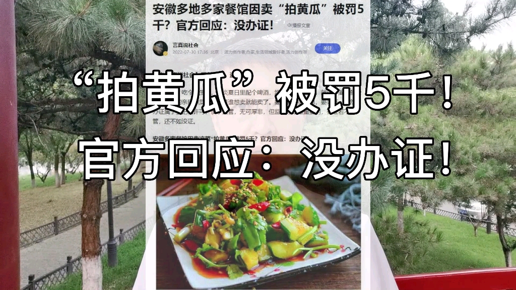 安徽多地多家餐馆因卖“拍黄瓜”被罚5千!官方回应:没办证!哔哩哔哩bilibili