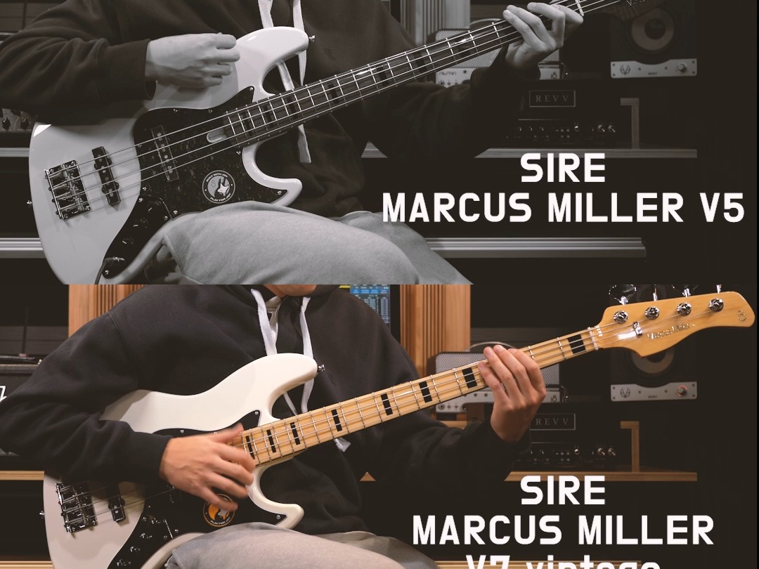 【1080P】看看您喜欢哪个声音?穆勒SIRE MARCUS MILLER/BASS/贝斯 V3 V5 V7 VINTAGE V8声音对比 /  大帅随拍 哔哩哔哩bilibili