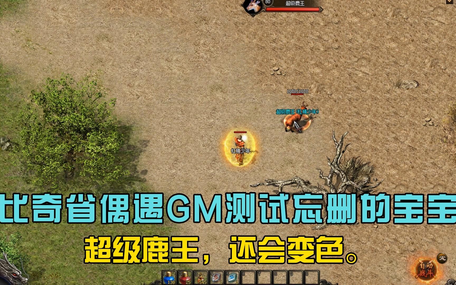 热血传奇:比奇省偶遇gm测试忘删的宝宝,超级鹿王,还会变色.