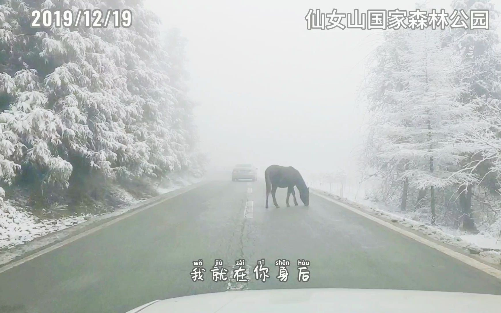 重庆武隆仙女山1219景区公路哔哩哔哩bilibili