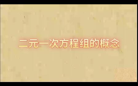 二元一次方程组的概念 初中数学 七年级哔哩哔哩bilibili