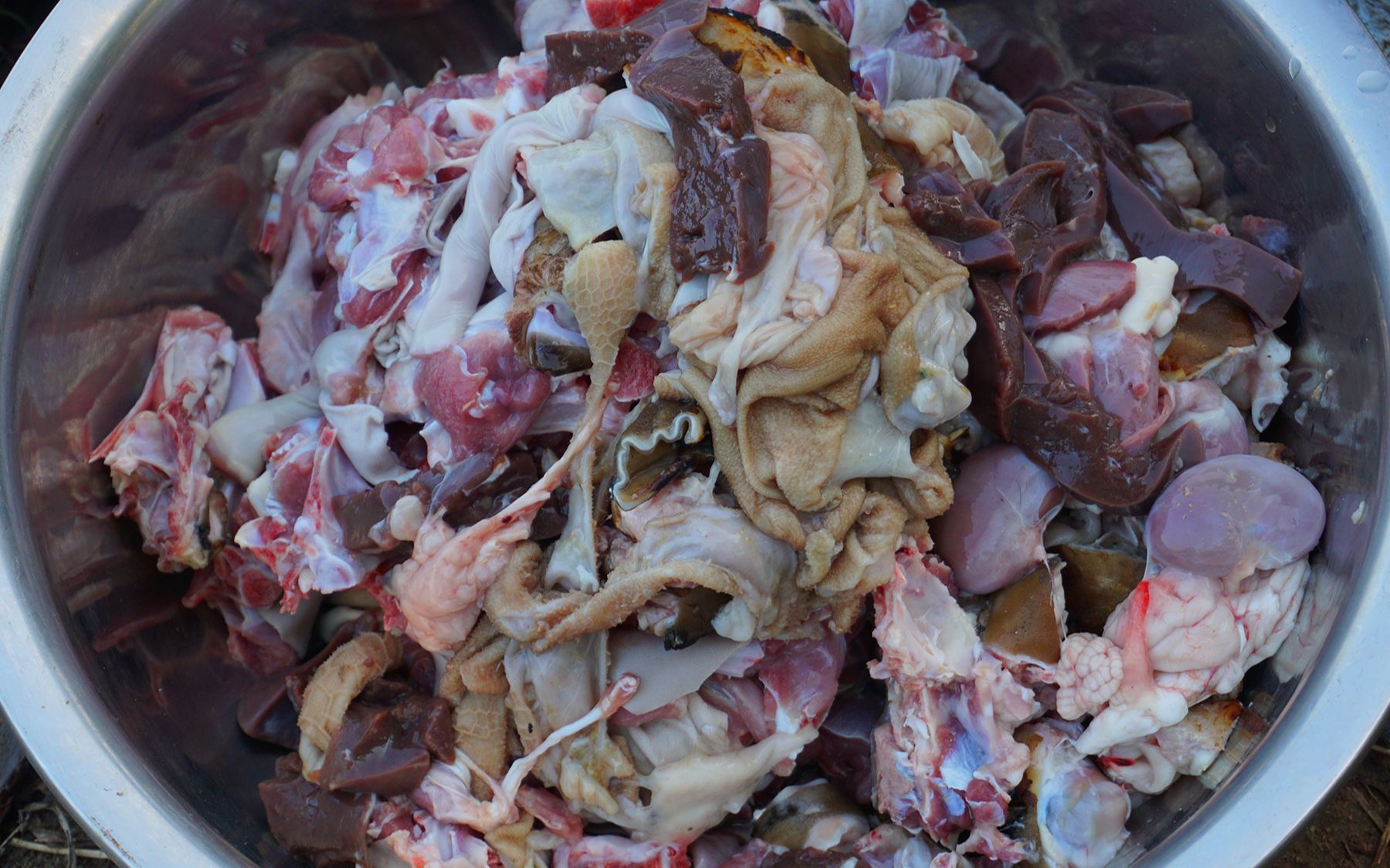 过年吃点好的,现杀25斤黑山羊一锅炖了,羊肉汤喝一口真香啊_哔哩哔哩