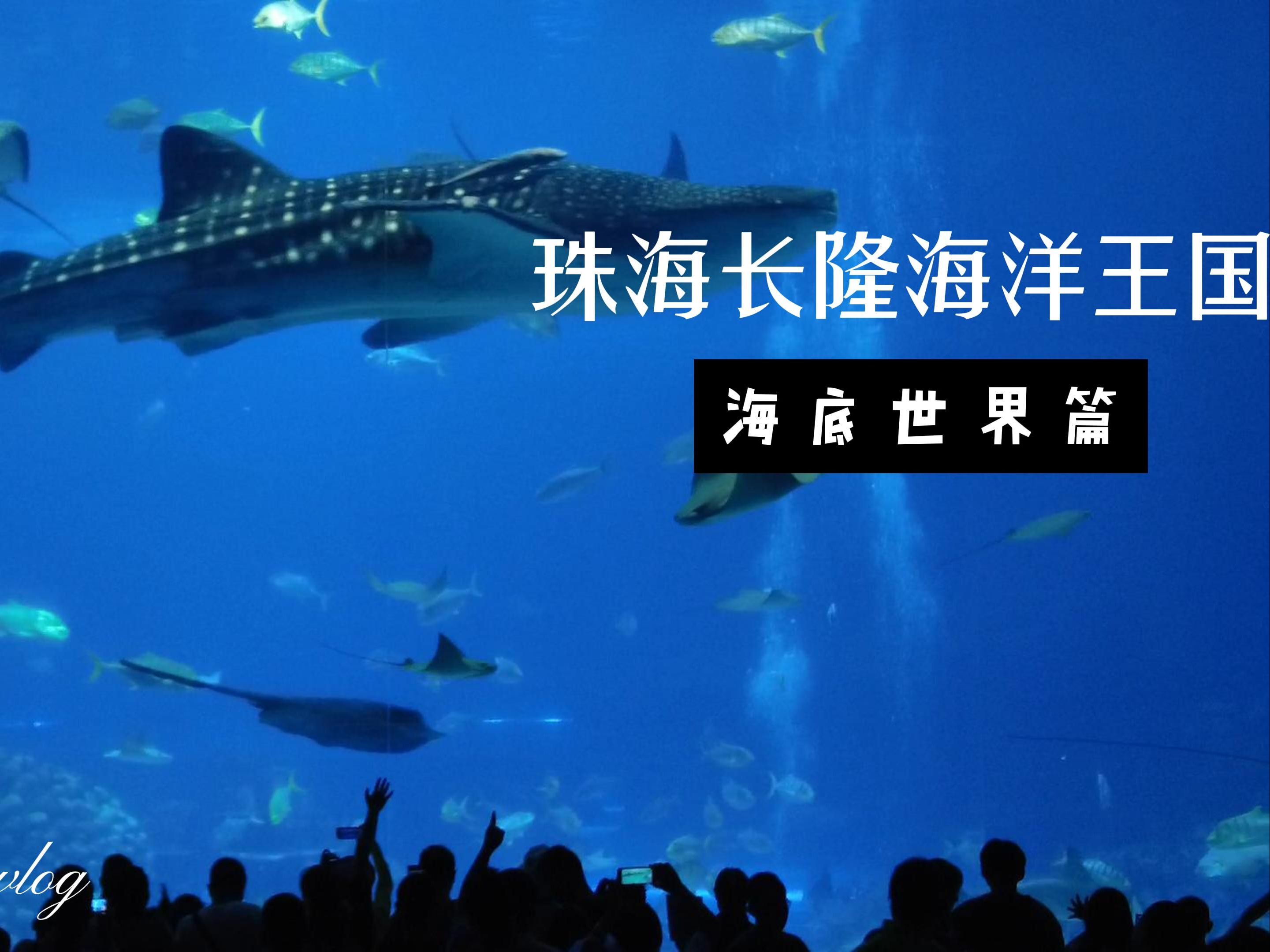 珠海长隆海洋王国的海底世界游记