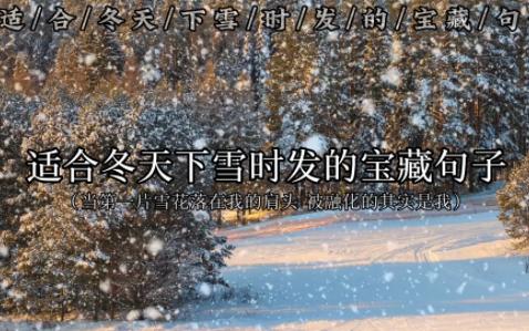 “雪是大浪漫,你是小人间”|适合冬天下雪时发的宝藏句子哔哩哔哩bilibili