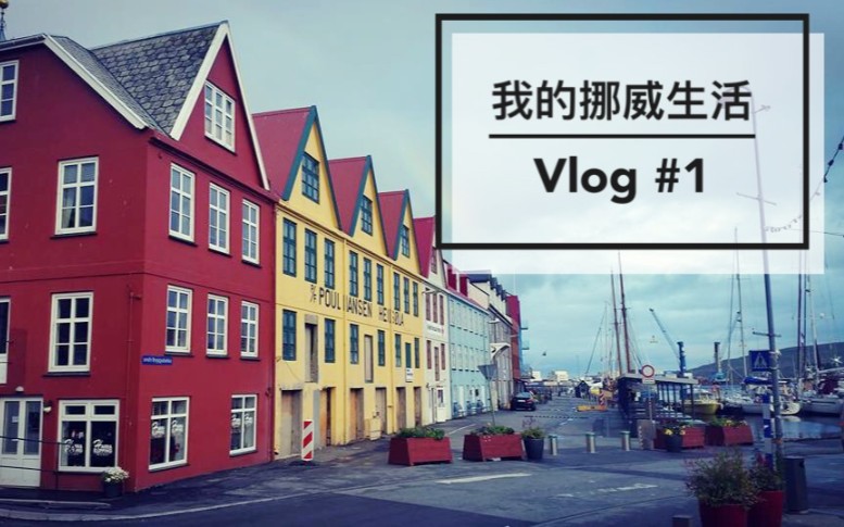 Vlog#1 |在挪威生活十年之后我的日常 流水账系列 | My daily life in Norway哔哩哔哩bilibili