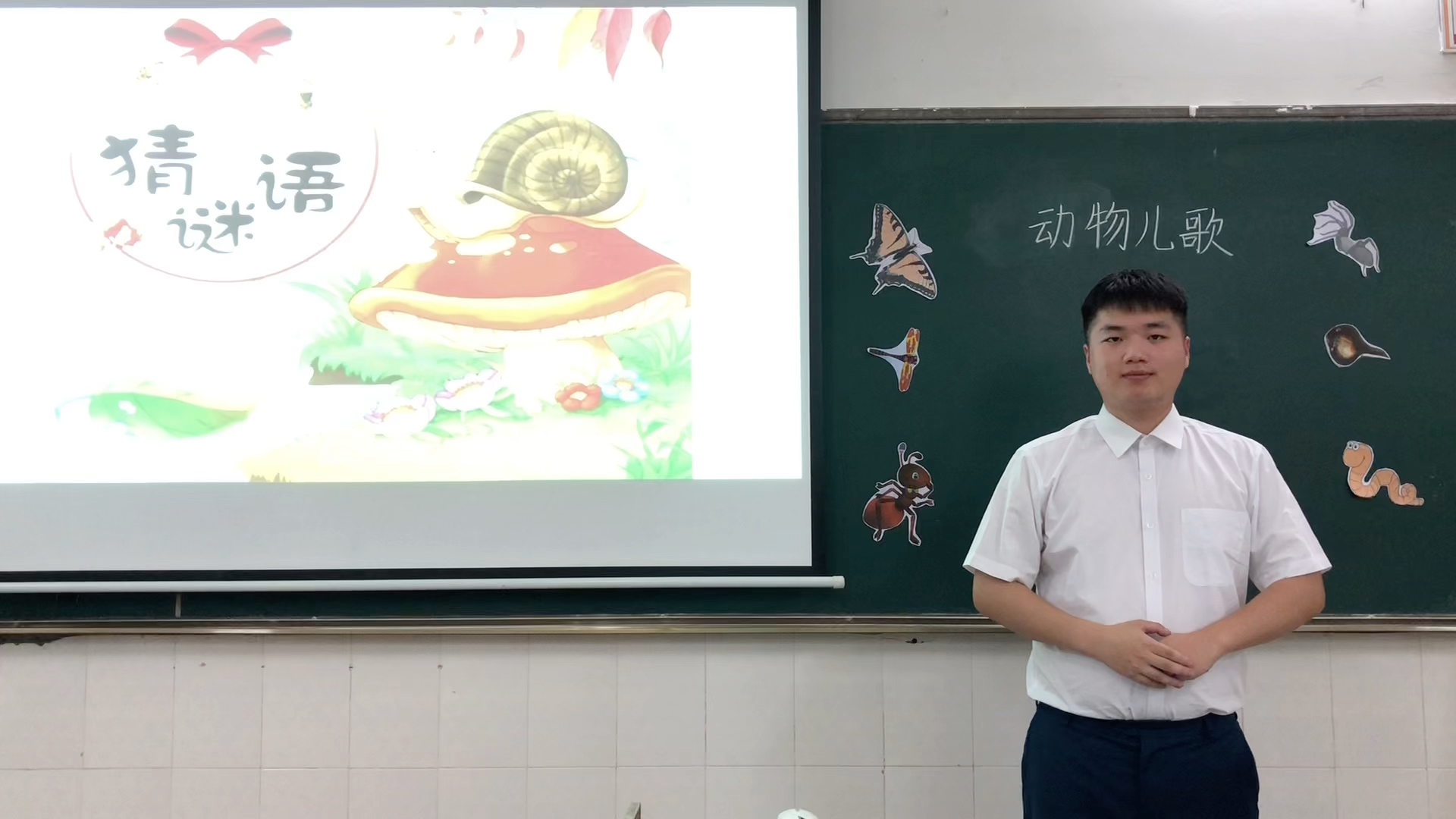 [图]小学语文考编——《动物儿歌》五分钟试讲视频