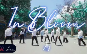 Download Video: [越南白衫In Bloom][4K] ZEROBASEONE'In Bloom' - Dance Cover by I.L.C from Vietnam