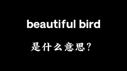 beautiful bird是什么意思?哔哩哔哩bilibili