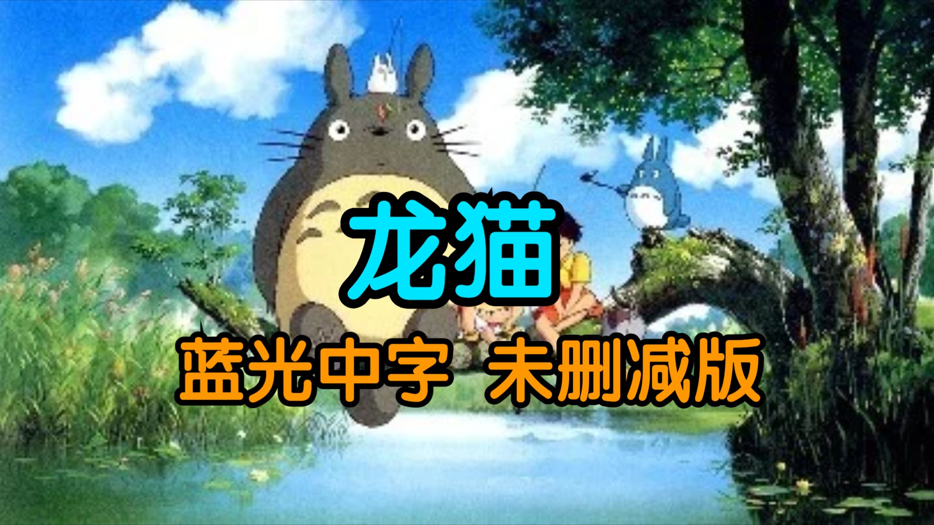 【宫崎骏】龙猫 蓝光中字(未删减版)哔哩哔哩bilibili