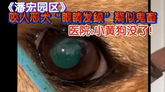 Tải video: 《潘宏园区》咬人恶犬”眼睛发绿！第四天:小黄狗没了！！