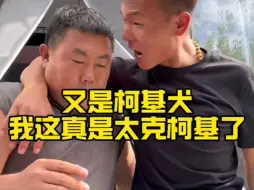 Download Video: 这院是真克柯基啊 这个没等进园区呢就嘎了