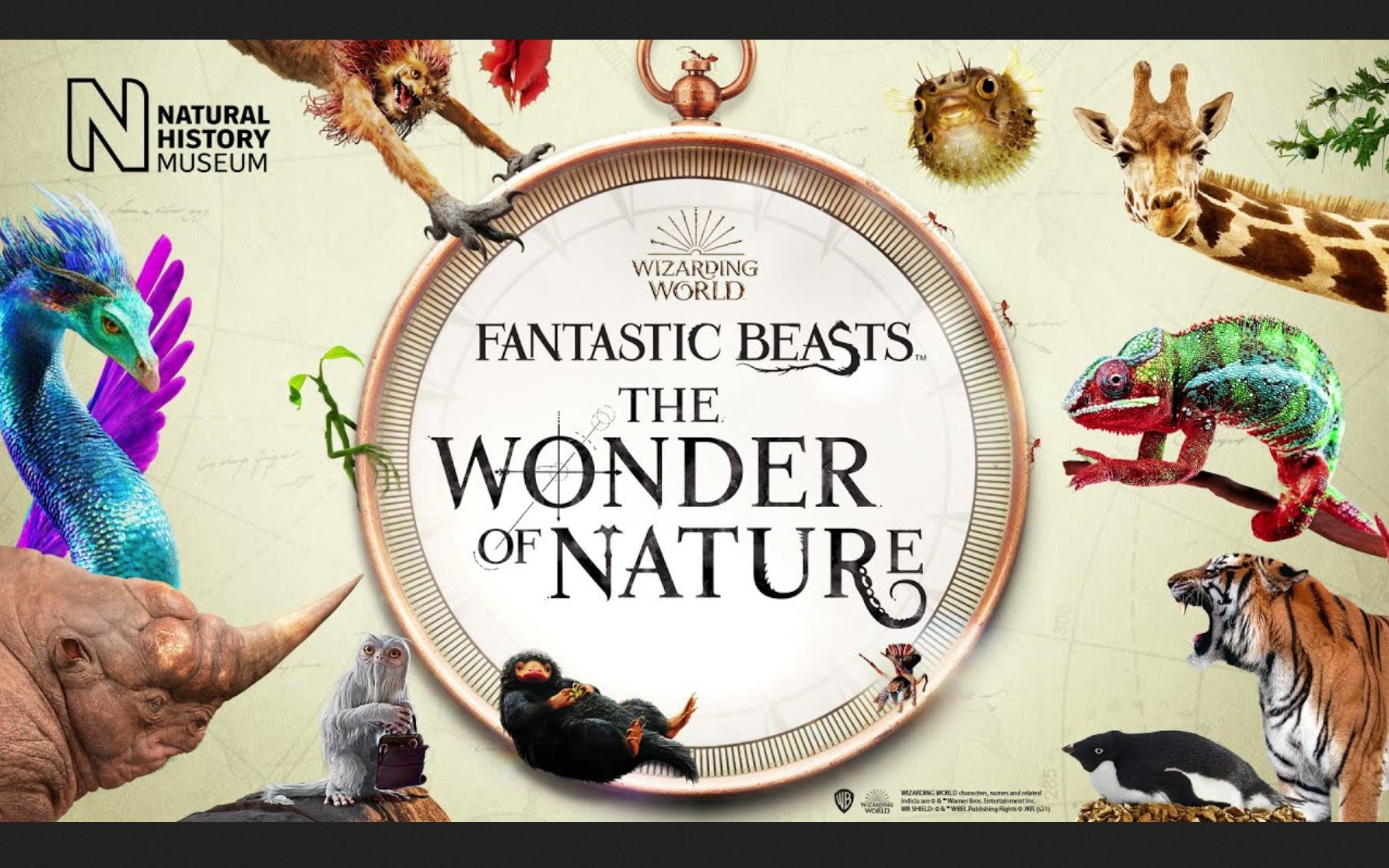 [图][Ch5] 英国自然历史博物馆 全4集 Natural History Museum World of Wonder