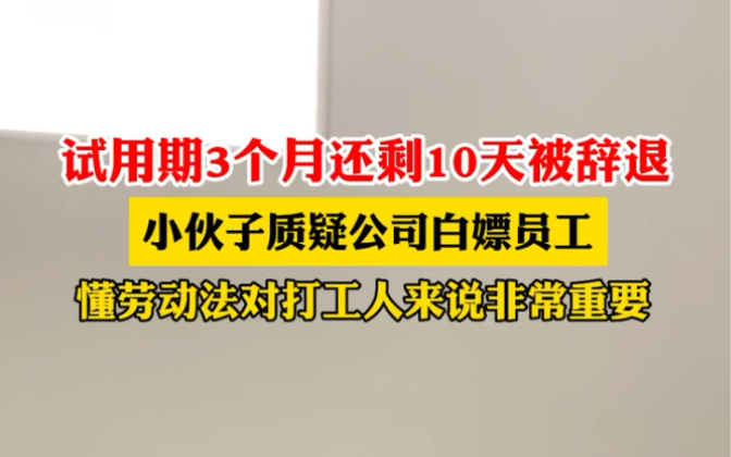 近日 #浙江 试用期3个月还剩10天被辞退,小伙子质疑公司白嫖员工,懂劳动法对打工人来说非常重要.哔哩哔哩bilibili