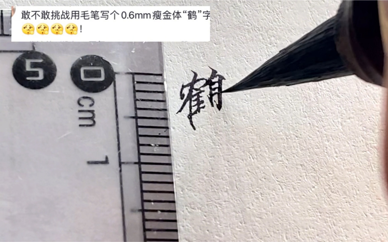 用毛笔写0.6mmm瘦金体“鹤”字,好像没什么难度啊!还有什么要求,放马过来吧!哔哩哔哩bilibili