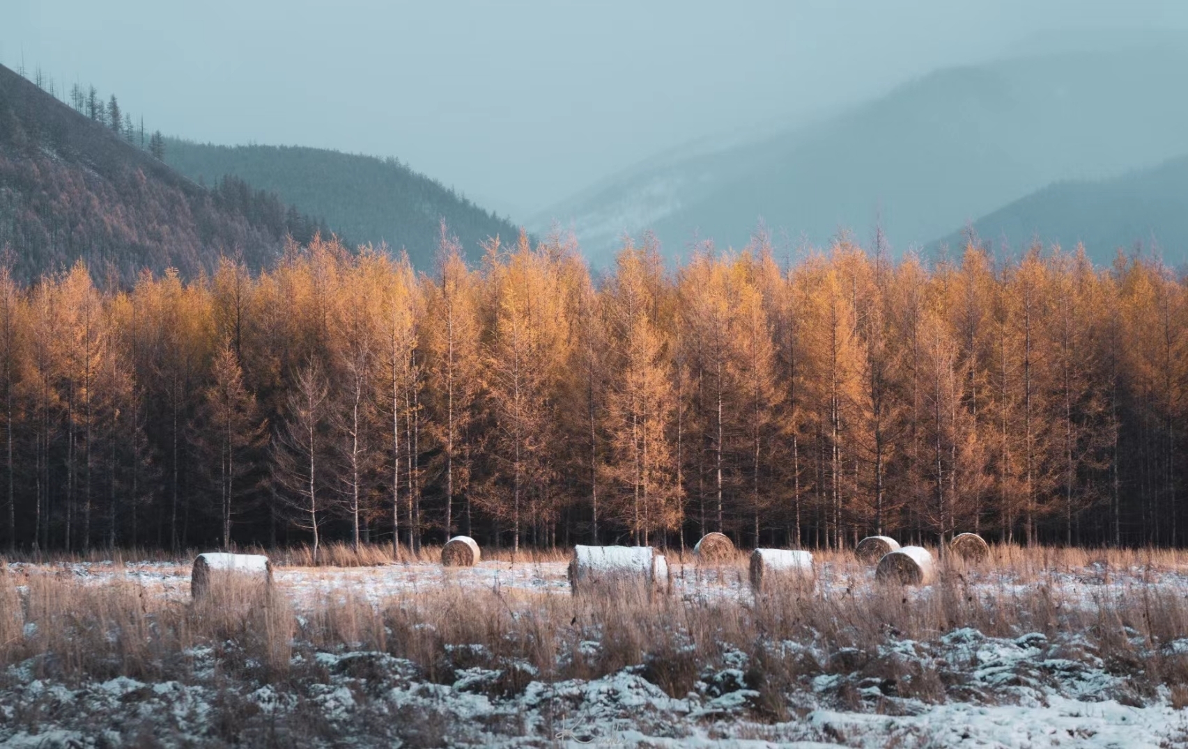 秋天的小兴安岭