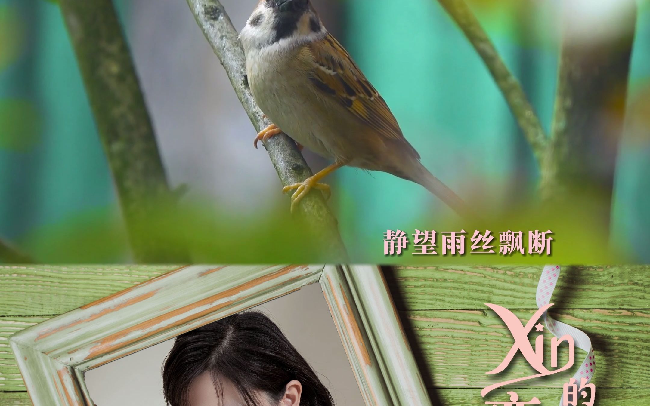 黄子馨(阿xin)全新专辑《恋人们》歌曲抢先试听!