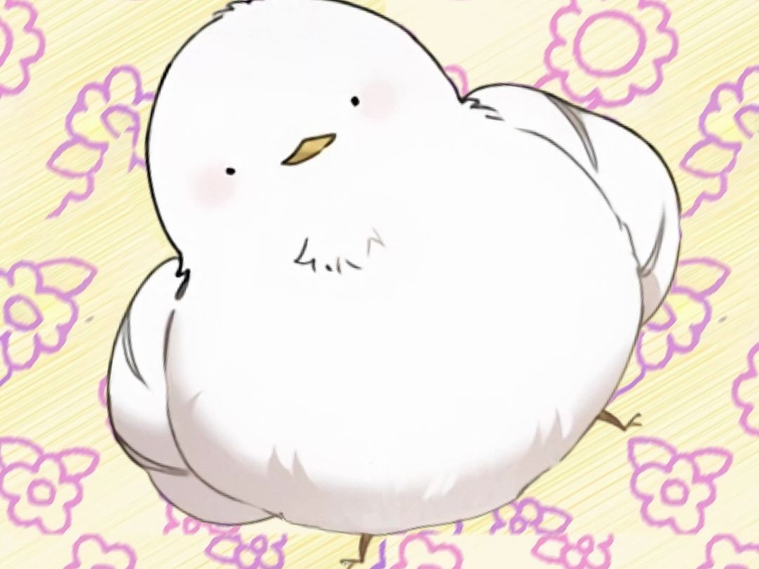 穿越变成小肥鸟,在帅哥手上拉粑粑(鸟科动物果然是直肠子.