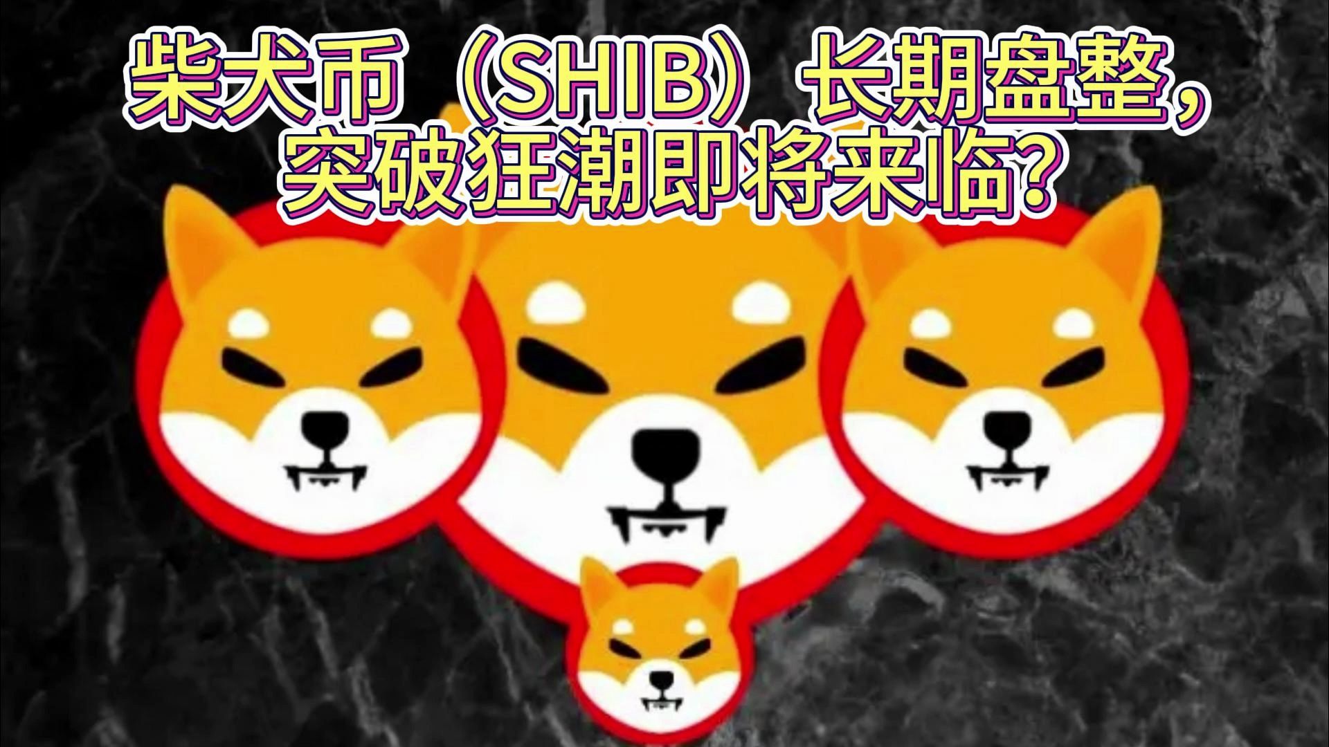 柴犬币(shib)长期盘整,突破狂潮即将来临?