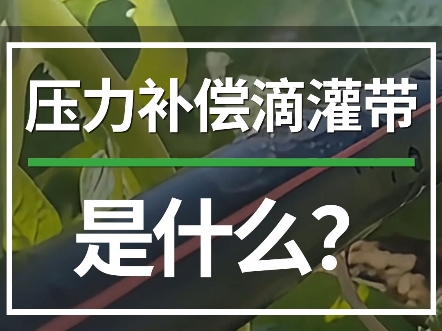 什么是压力补偿滴灌带?压力补偿滴灌带的工作原理.#农业技术推广 #滴灌喷灌水肥一体化 #智慧农业#现代化农业#节水灌溉哔哩哔哩bilibili