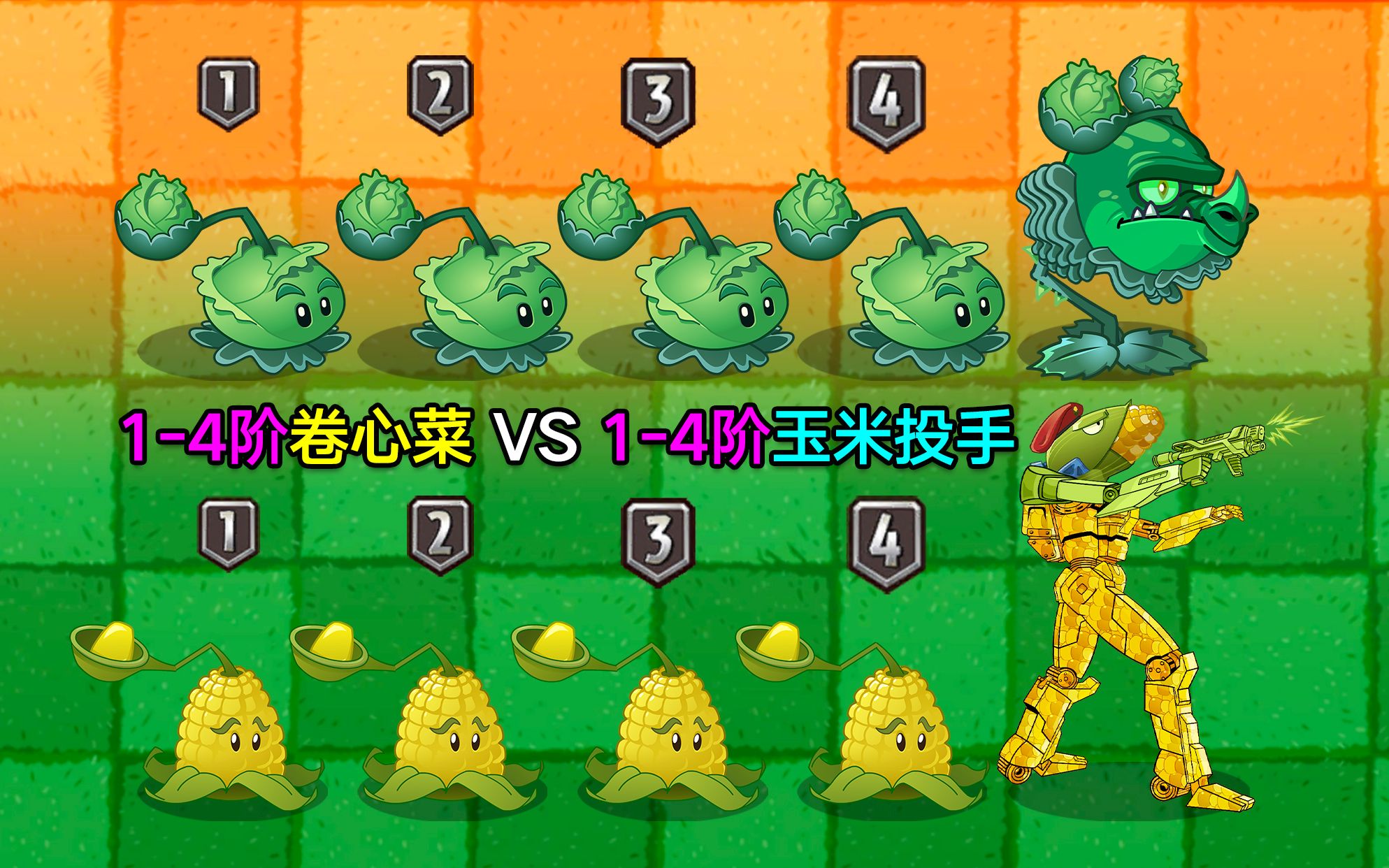 1-4阶卷心菜vs1-4阶玉米投手!两个个一代植物,在2代强度如何?