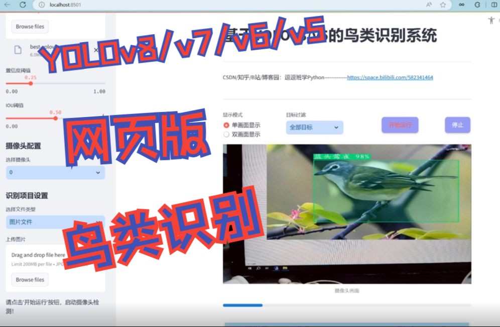 网页版基于深度学习的鸟类识别系统(YOLOv8/v7/v6/v5+实现代码+训练数据集)哔哩哔哩bilibili