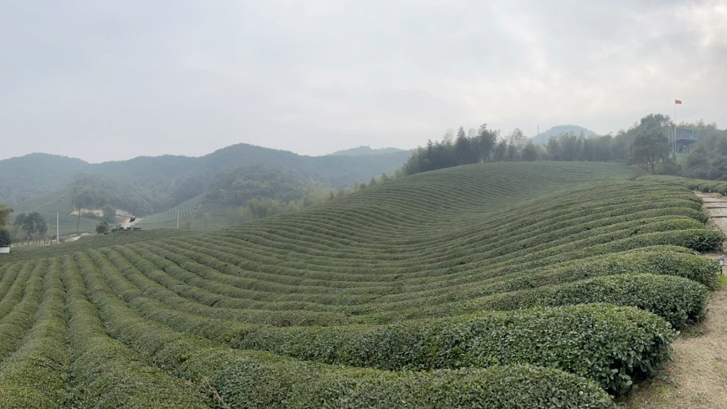 网红村打卡坐标绍兴市鉴湖镇云松村