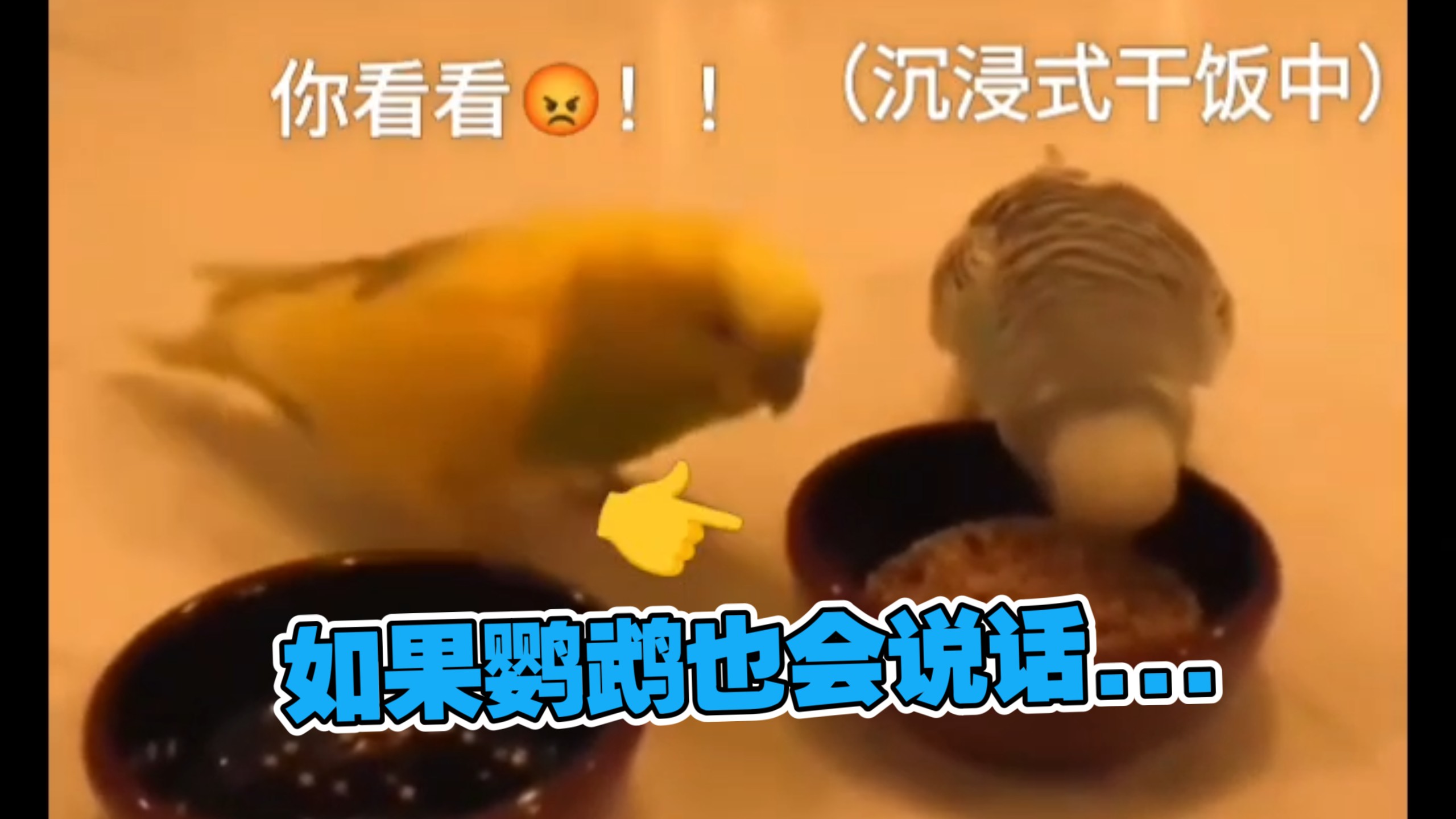 我要闹了😭！！！