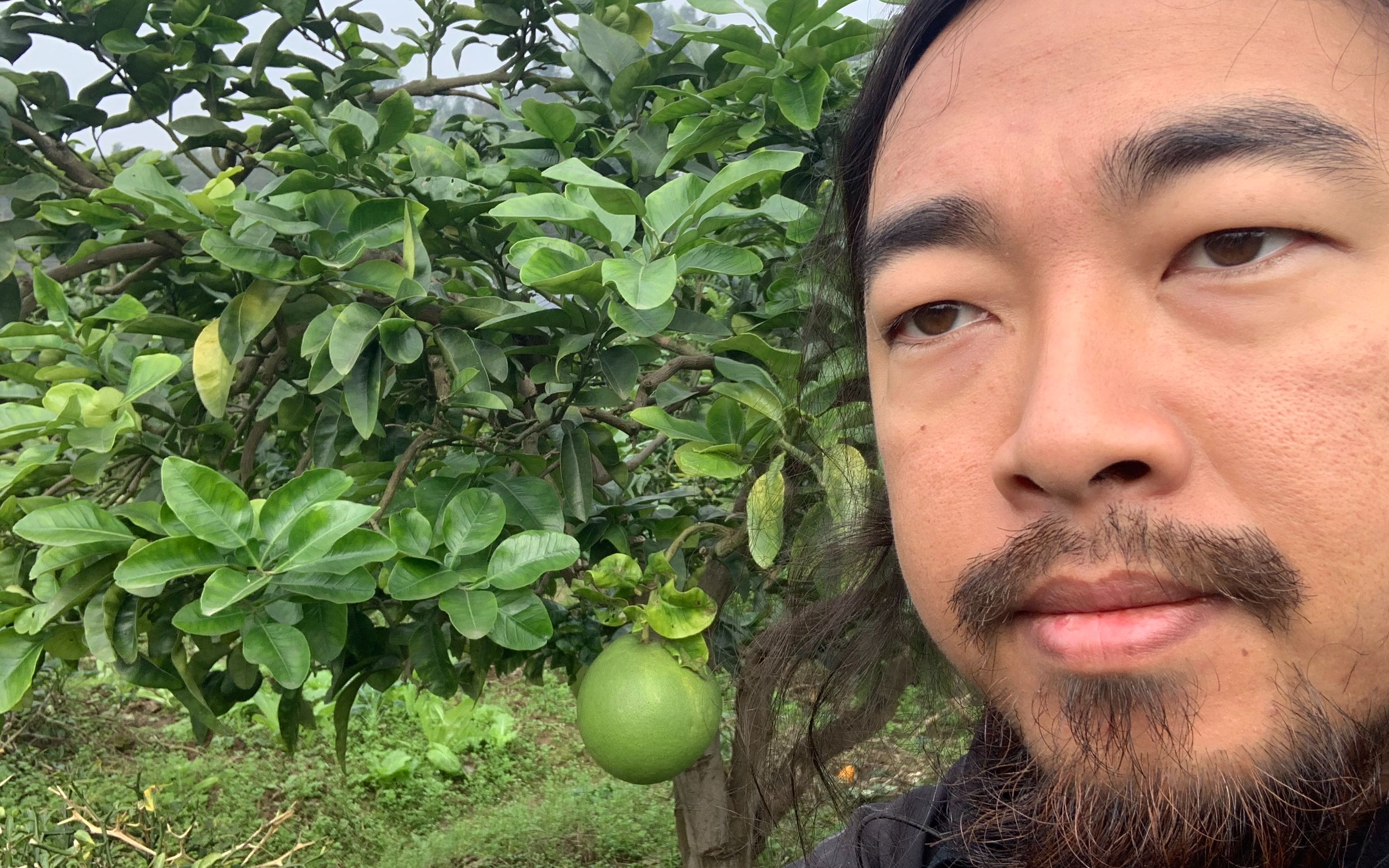 11月6日 峰哥直播【1/2】 重庆荣昌乡村复兴论坛 高清完整版_哔哩哔哩