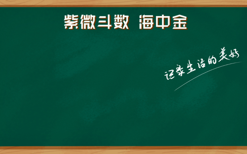 海中金金四局紫微斗数哔哩哔哩bilibili