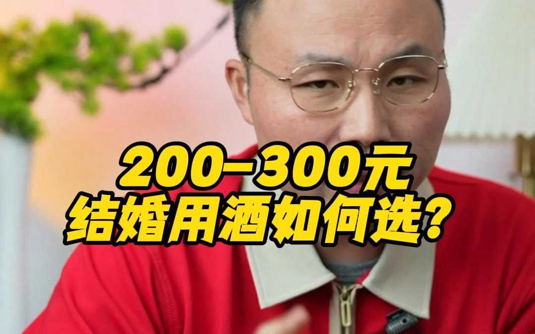 200300元结婚用酒如何选哔哩哔哩bilibili