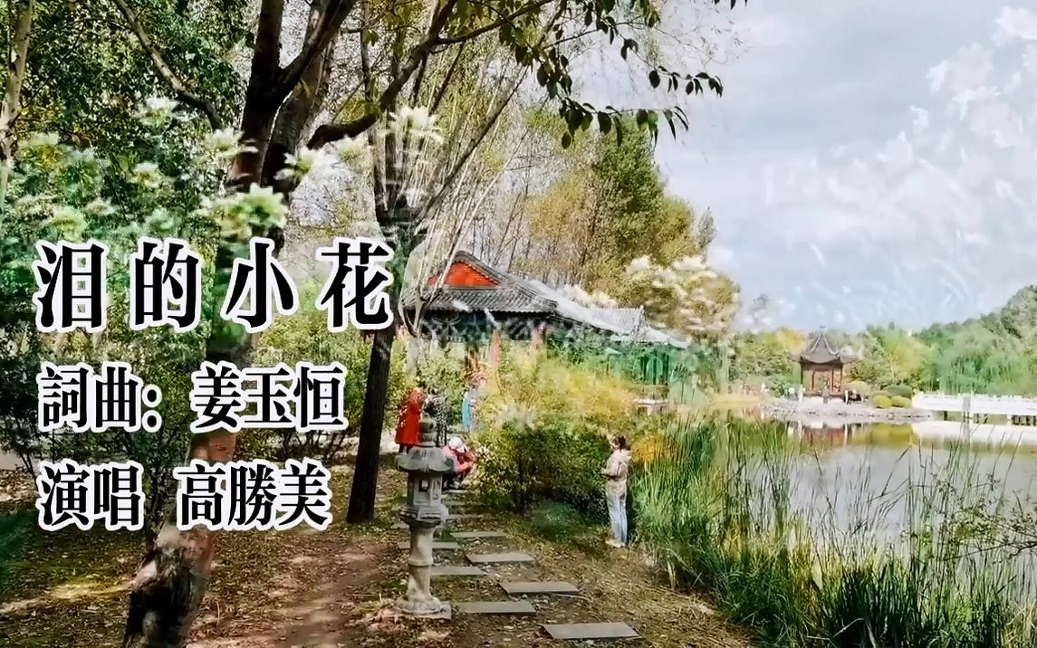 [图]高胜美《泪的小花》句句伤感 经典感人