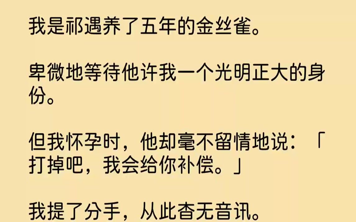 【完结文】我是祁遇养了五年的金丝雀.卑微地等待他许我一个光明正大的身份.但我怀孕时,他却毫不留情地说:「打掉吧,我会给你补偿.」...哔哩哔...