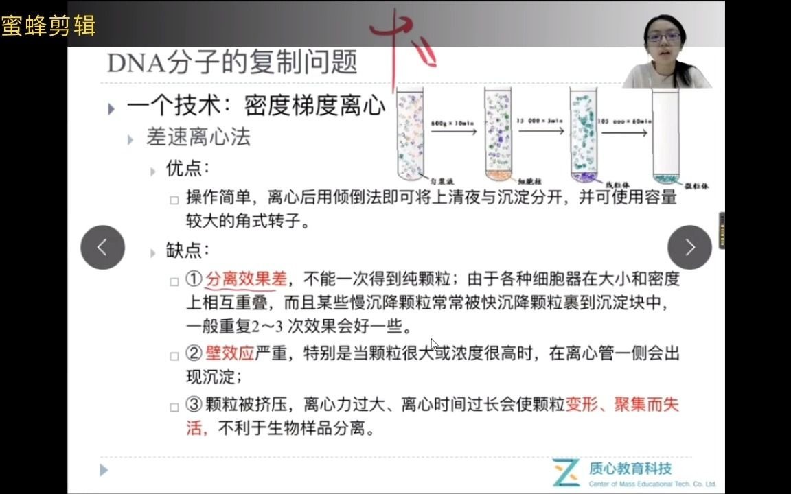 遗传学2哔哩哔哩bilibili