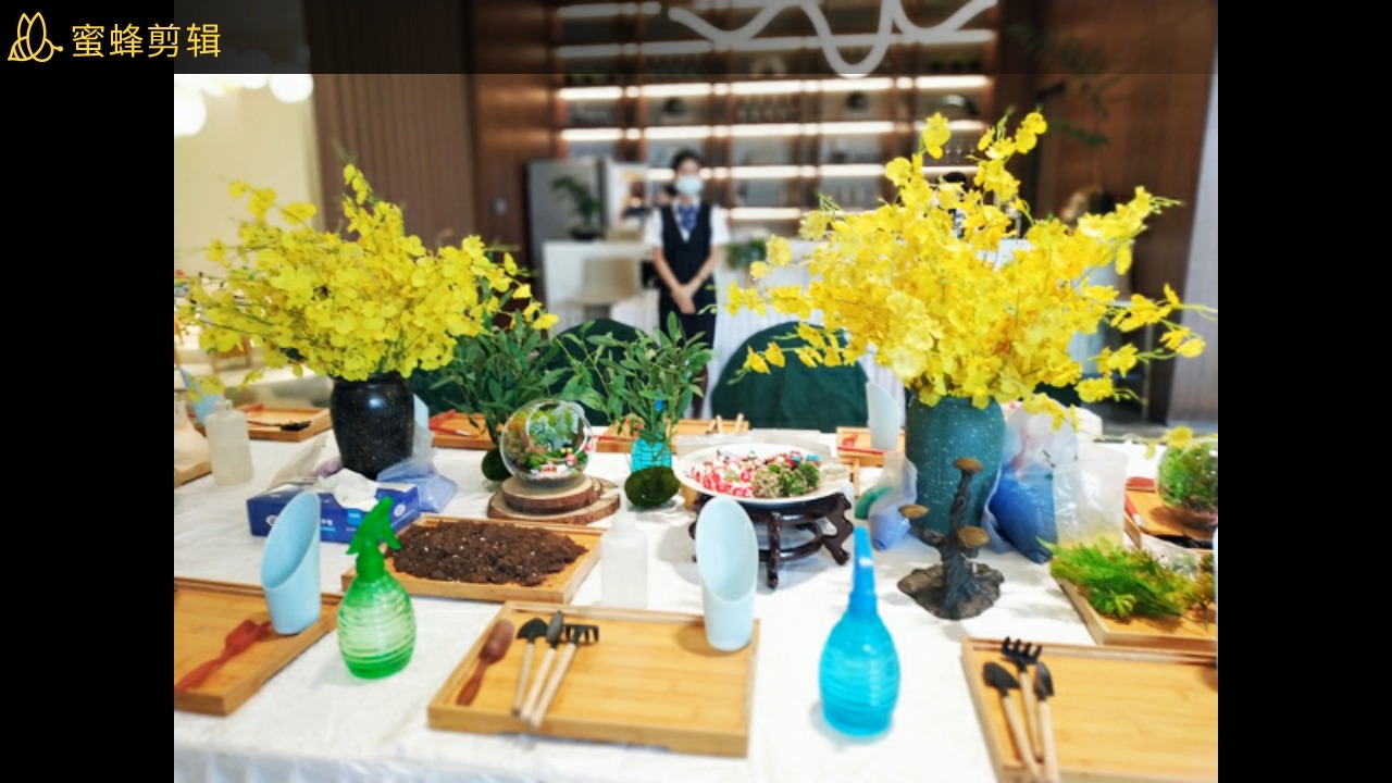 苔藓微景观制作 手作diy微景观多肉植物 承接开展diy多肉微景观活动