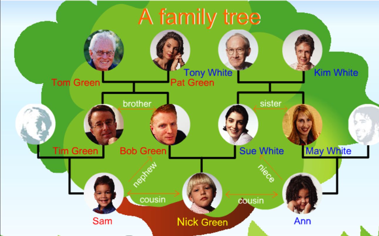 familytree英文图片