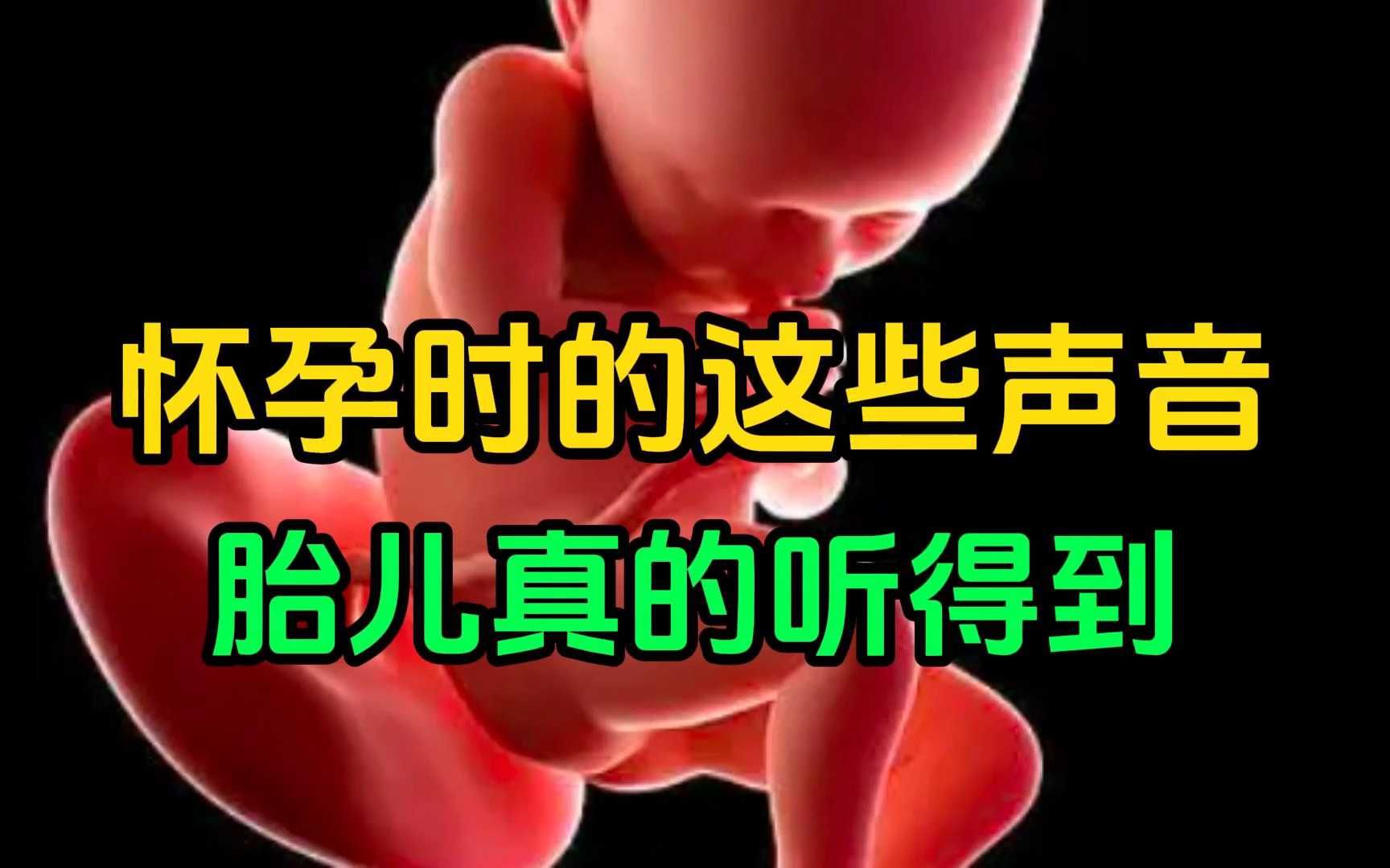 怀孕时的这些声音,胎儿真的听得到?哔哩哔哩bilibili