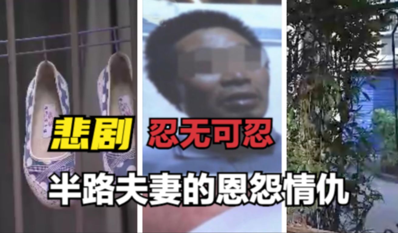 杭州赘婿杀妻案-刘洋