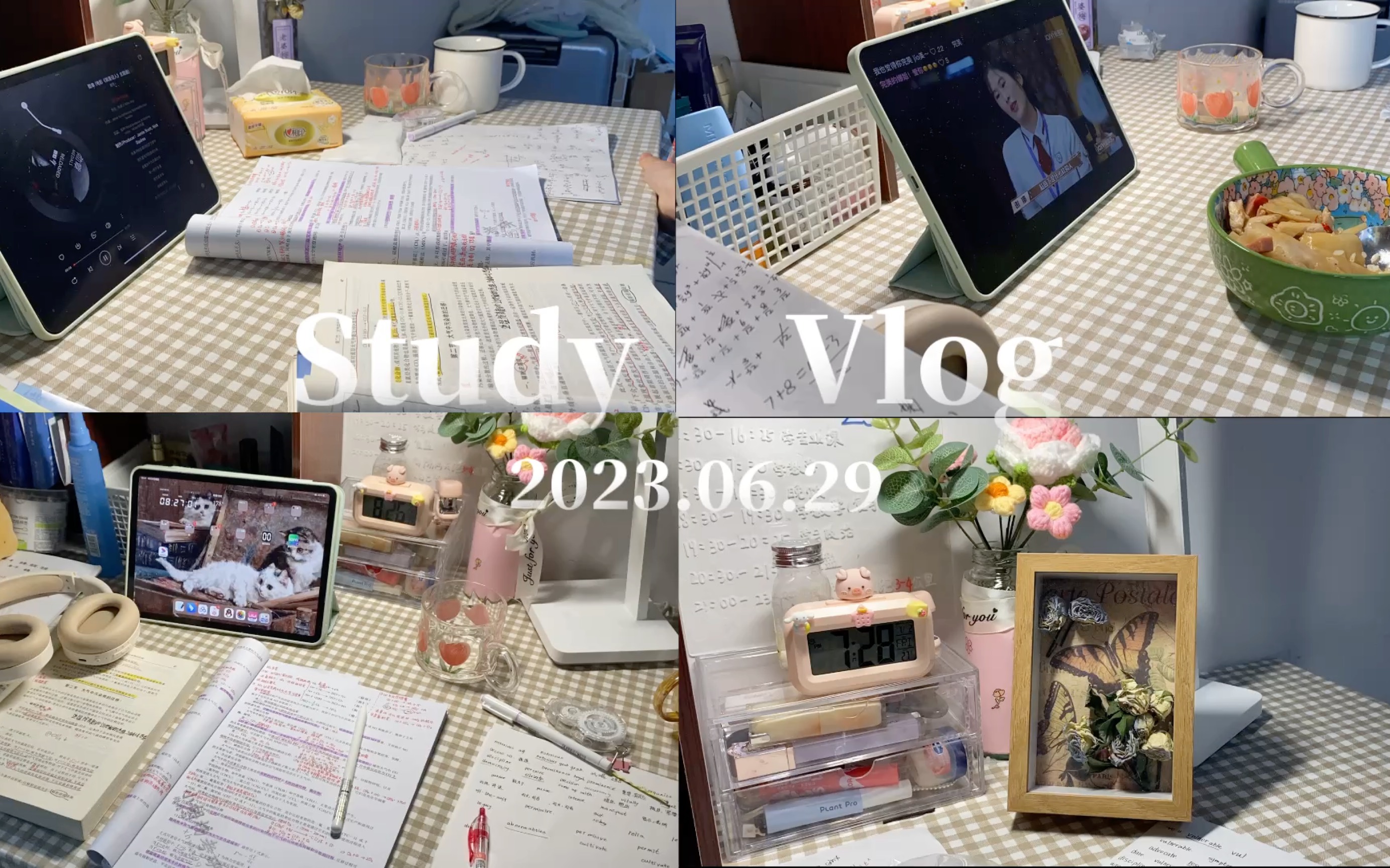 study vlog/ 出租屋备考/ 一日三餐/第一次制作干花相框 “总要给一成不变的生活找点乐趣”哔哩哔哩bilibili